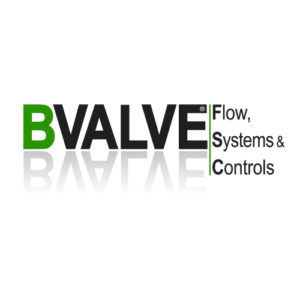 BVALVE